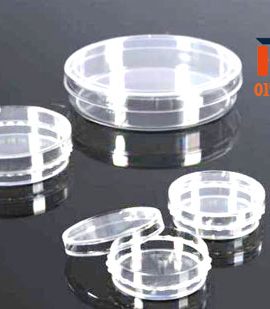Petri dish