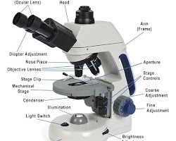 microscope